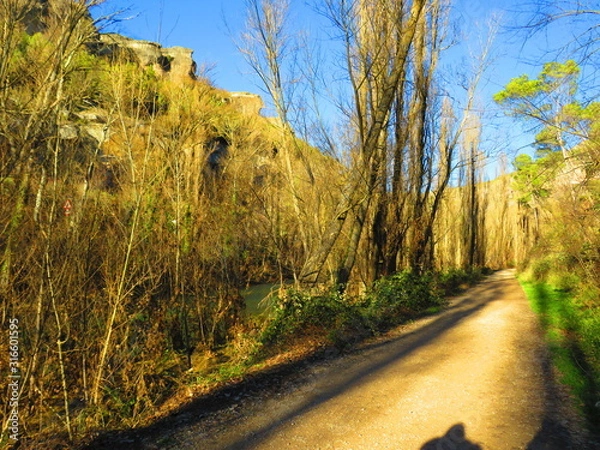 Obraz CAMINO OTOÑAL
