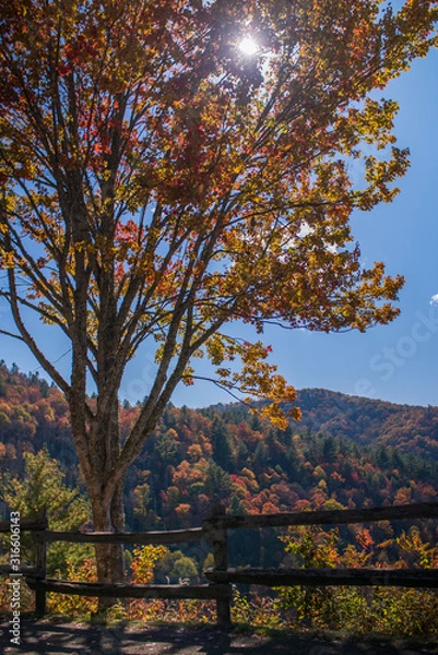 Obraz Vibrant Fall