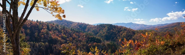 Obraz Vibrant Fall Panoramic