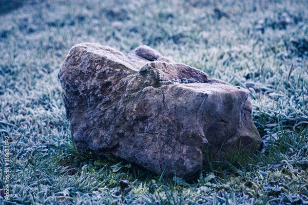 Obraz stone in the grass