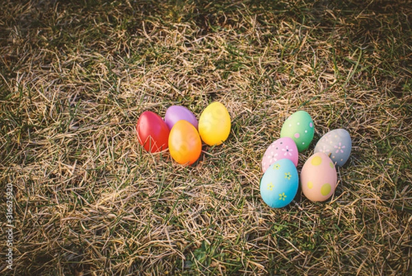 Obraz bunte Ostereier auf der Wiese
