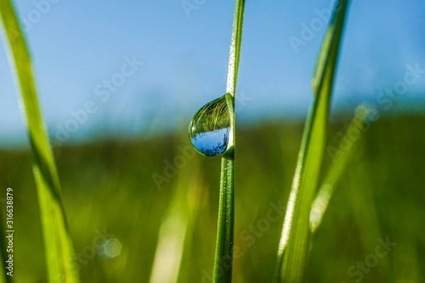 Fototapeta drop on leaf