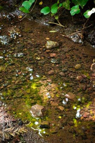 Fototapeta Riverstone