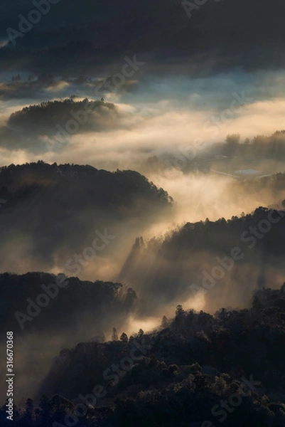 Fototapeta 千葉の九十九谷で見ることのできる雲海