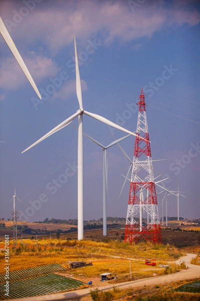 Fototapeta environment