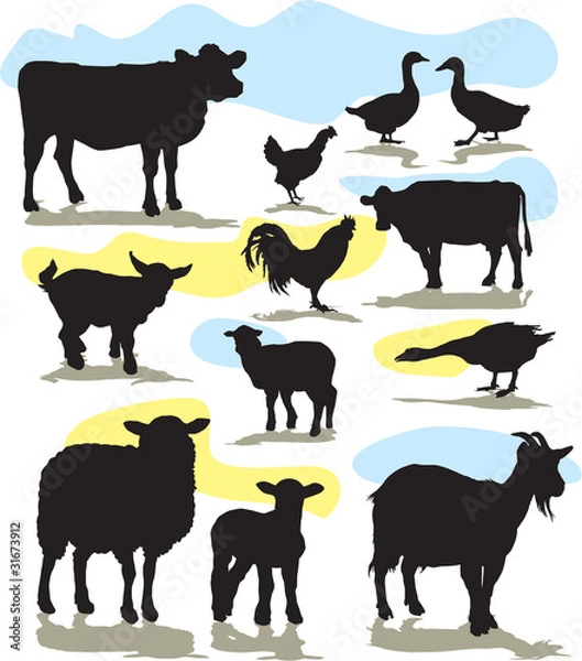 Fototapeta set vector farm animals silhouettes