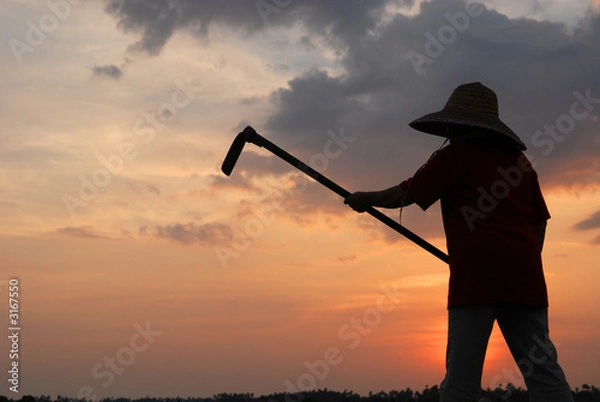 Fototapeta clouds and skies and  sunset and farmer working
