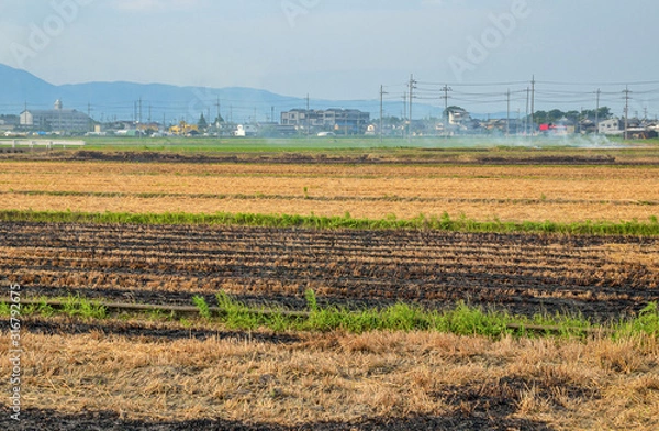 Fototapeta 滋賀県の田舎風景