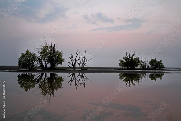 Obraz Trees and evening reflections on the beach