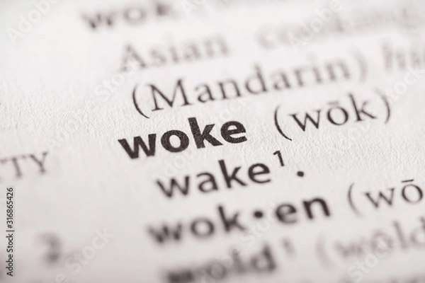 Fototapeta Dictionary Series - Woke