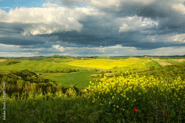 Obraz Tuscan spring landscape