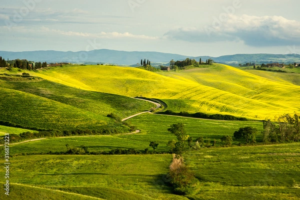 Obraz Tuscan landscape