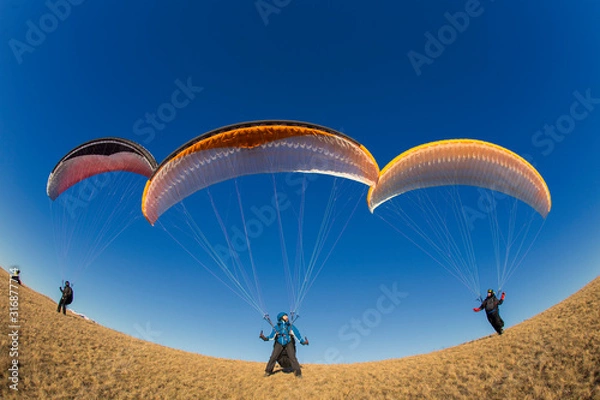 Obraz paragliders