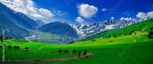 Fototapeta Beautiful landscape view of Sonamarg in Thajiwas park in Jammu and Kashmir, India