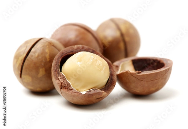 Fototapeta Shelled and unshelled macadamia nuts on white background 