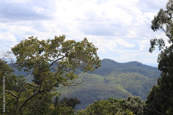 Obraz landscape with trees and blue sky