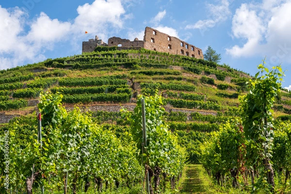 Fototapeta Beautiful view of the ruins of the castle in Staufen im Breisgau surrounded by vineyards in front of a bright blue sky