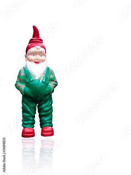 Obraz garden gnome