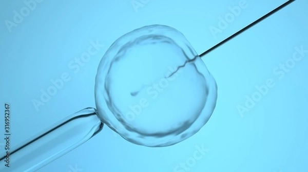 Fototapeta In vitro fertilization or artificial insemination, 3D-rendering