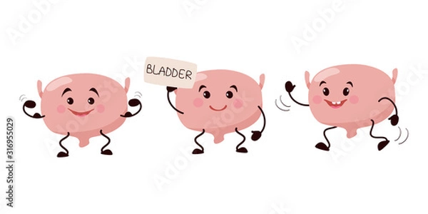 Obraz Cartoon character bladder.