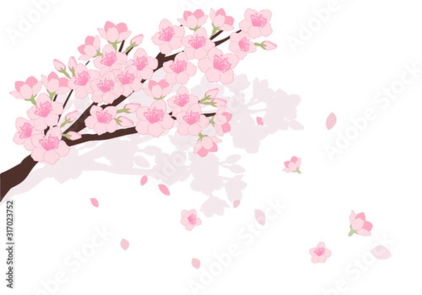 Fototapeta 桜の花イラスト素材