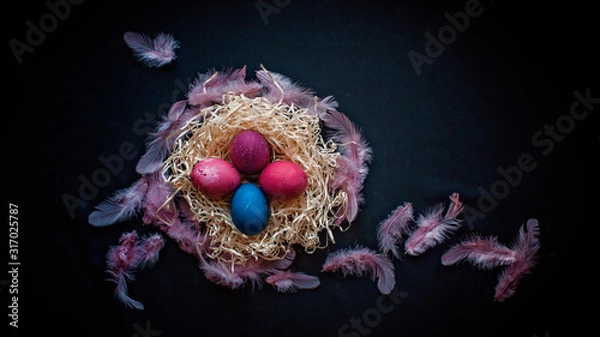Obraz Alternative Easter composition in dark style with eggs, feather and hands of senior woman over black background