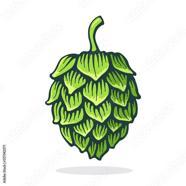 Fototapeta Vector illustration. Green cone of hop. Symbol of beer, pub and alcoholic beverage. Graphic design with contour. Clip-art print for packaging, menu, signboard, showcase. Isolated on white background