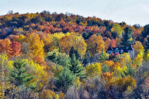 Obraz A house during a beautiful autumn in the mountains. Indian summer in Quebec Canada
