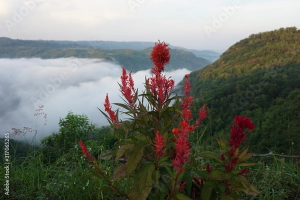 Obraz Blume vor Bergen