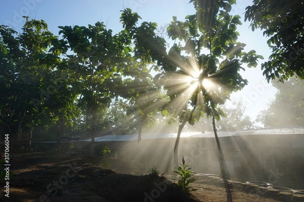Obraz Sonnenstrahlen