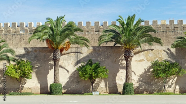 Fototapeta With huge palm trees and little trees decorated wall of the royal palace, Meknes, Morrocco, Africa