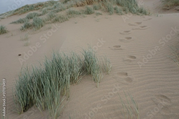 Obraz Spuren im Sand