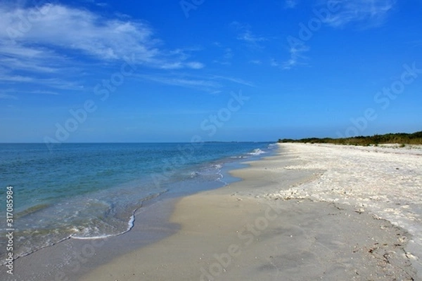 Obraz clearwater beach fl
