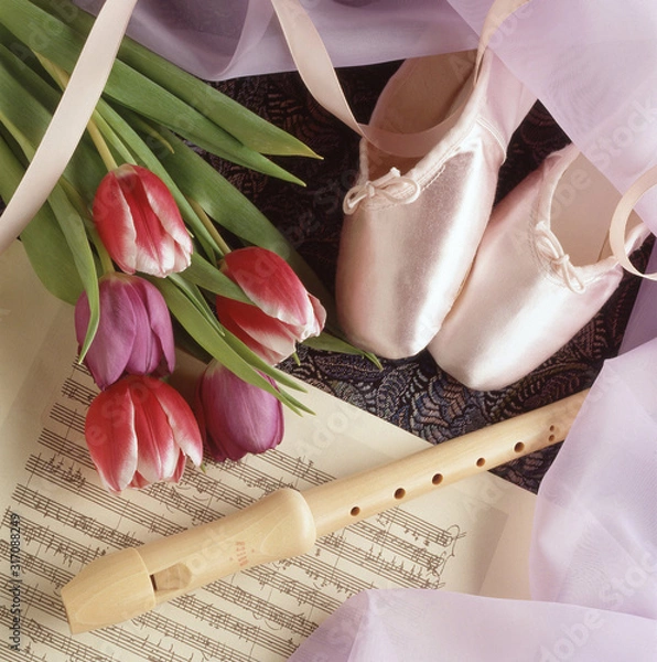 Obraz Souliers de pointe de ballet, tulipes rouges, flûte à bec et partitions de musique entouré d’un voile rosé et de ruban