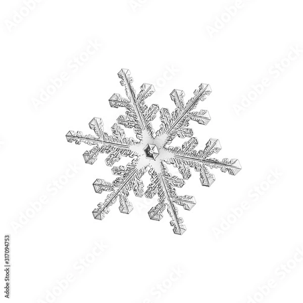 Fototapeta Snowflake isolated on white background. Macro photo of real snow crystal: elegant stellar dendrite with hexagonal symmetry, glossy surface, complex inner details and six flat, thin arms.
