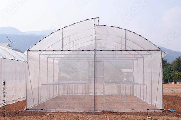 Obraz Green house in nature background.  