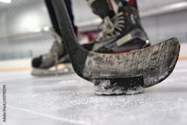 Fototapeta hockey player with stick and puck