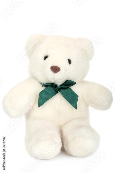 Obraz White polar teddy bear