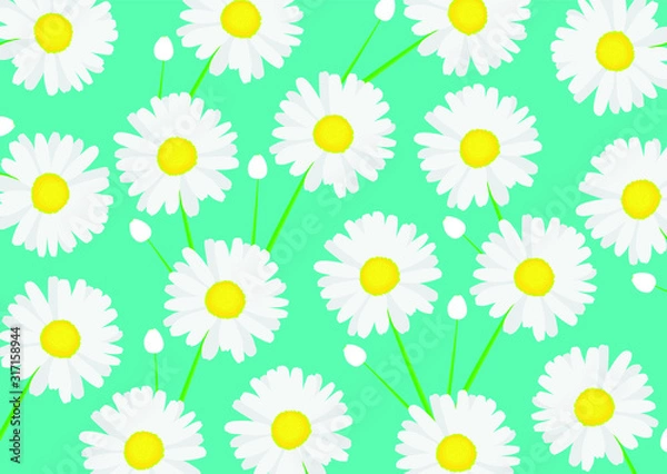 Obraz daisy flower pattren design 