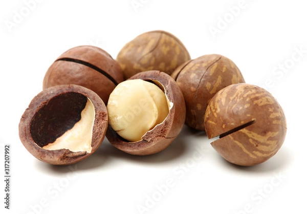 Obraz Shelled and unshelled macadamia nuts on white background 