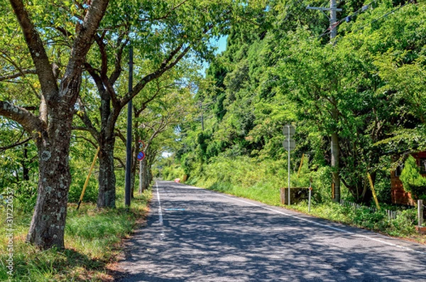 Fototapeta 滋賀　海津大崎