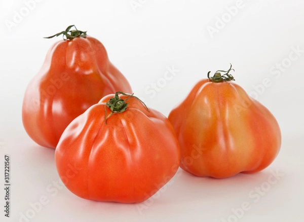 Obraz Tomaten 