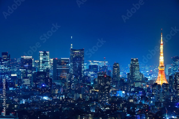 Fototapeta 光が溢れる東京の夜景
