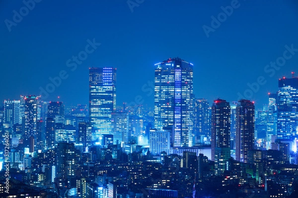 Fototapeta 光が溢れる東京の夜景
