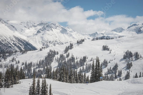 Obraz Whistler resort