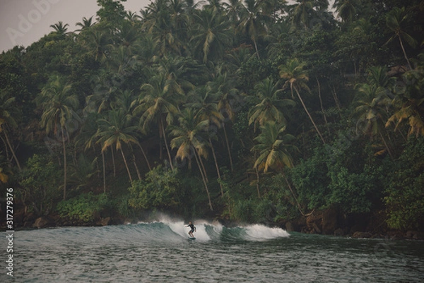 Obraz Sri Lankan waves