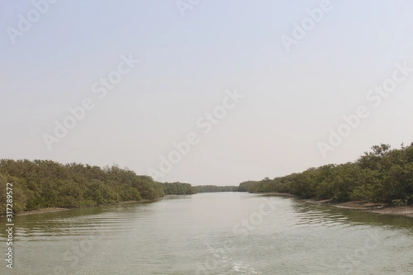Obraz landscape with river
