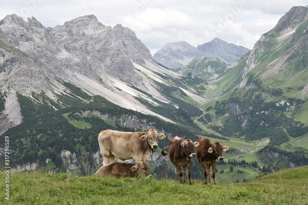 Obraz Berglandschaft in Vorarlberg
