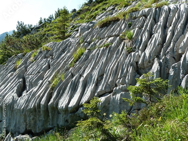 Obraz Felsgestein in den Alpen