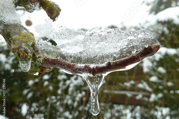 Obraz Gefrorener Ast